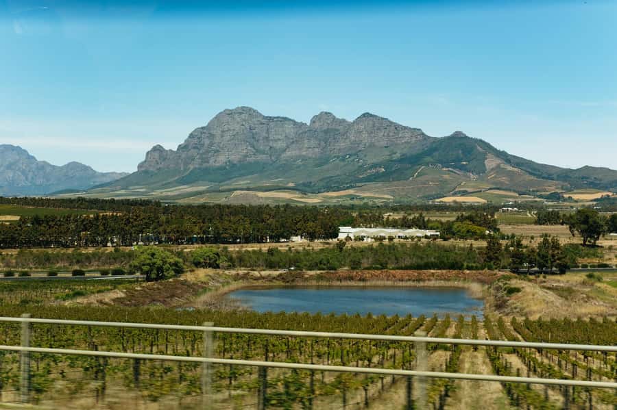 From Cape Town: Full Day Winelands Tour with wine tastings - Is $120 a fair price?
