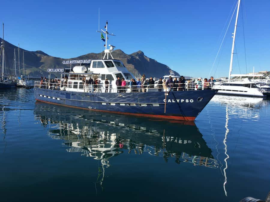 From Cape Town: Glass-Bottom Boat Seal Watching Tour - Setting out from Hout Bay Harbour