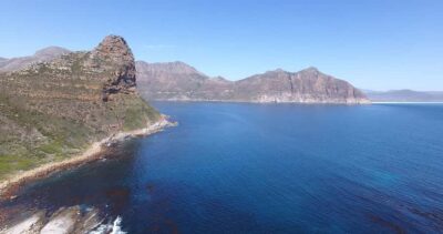 Glass-Bottom Boat Seal Watching Tour