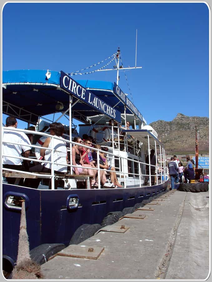 From Cape Town: Glass-Bottom Boat Seal Watching Tour - Who will enjoy this trip most?