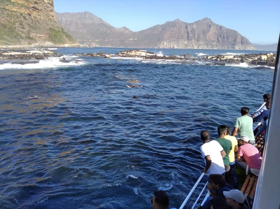 From Cape Town: Glass-Bottom Boat Seal Watching Tour - Practical details before you go