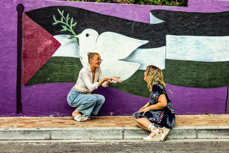From Cape Town: Half-Day Boulders Beach and Penguins Tour - Timing, comfort, and limits to consider