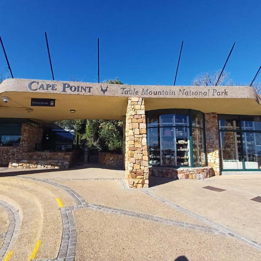 From Cape Town: Half Day Cape Point & Penguins Tour - Why this half-day route works in Cape Town