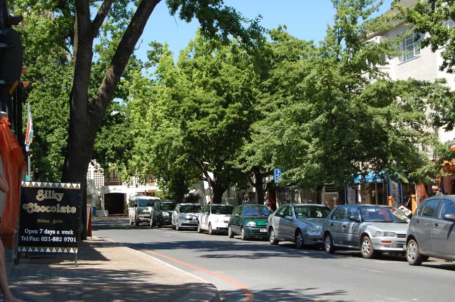 From Cape Town: Half Day Winelands Tour with winetasting - Who will get the most from this tour