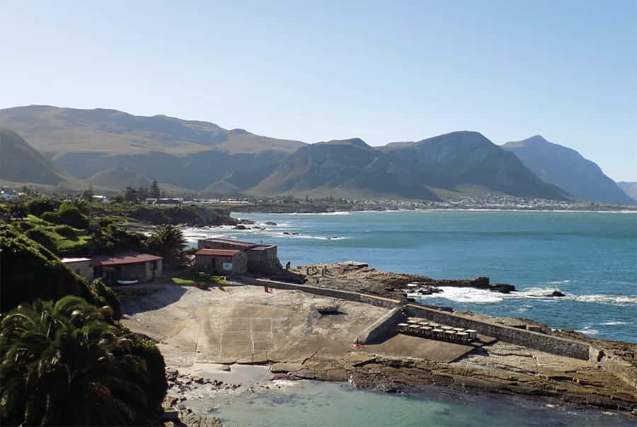 From Cape Town: Hermanus Whale Watching Full Day Tour - Hemel-en-Aarde wine in an urban setting