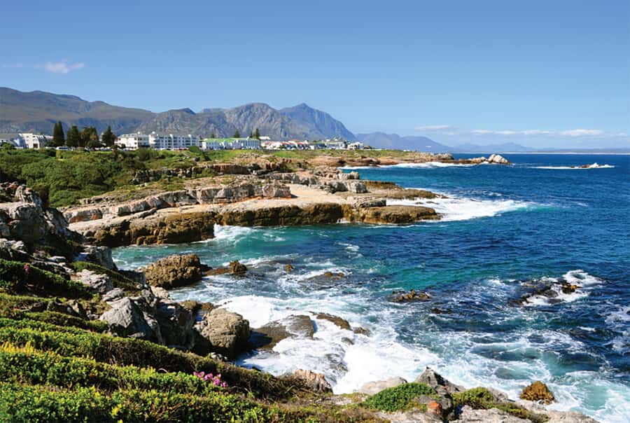 From Cape Town: Hermanus Whale Watching Full Day Tour - Rotary Way gives you the best quick view