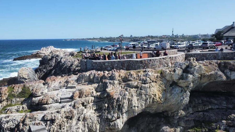 From Cape Town: Hermanus Whale Watching Tour with Boat Trip - Key points to know before booking