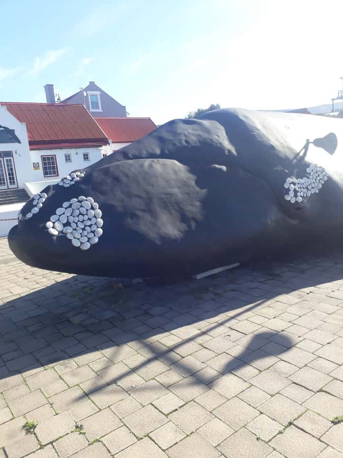 From Cape Town: Hermanus Whale Watching Tour with Transfer - From film studios to Stellenbosch vineyards