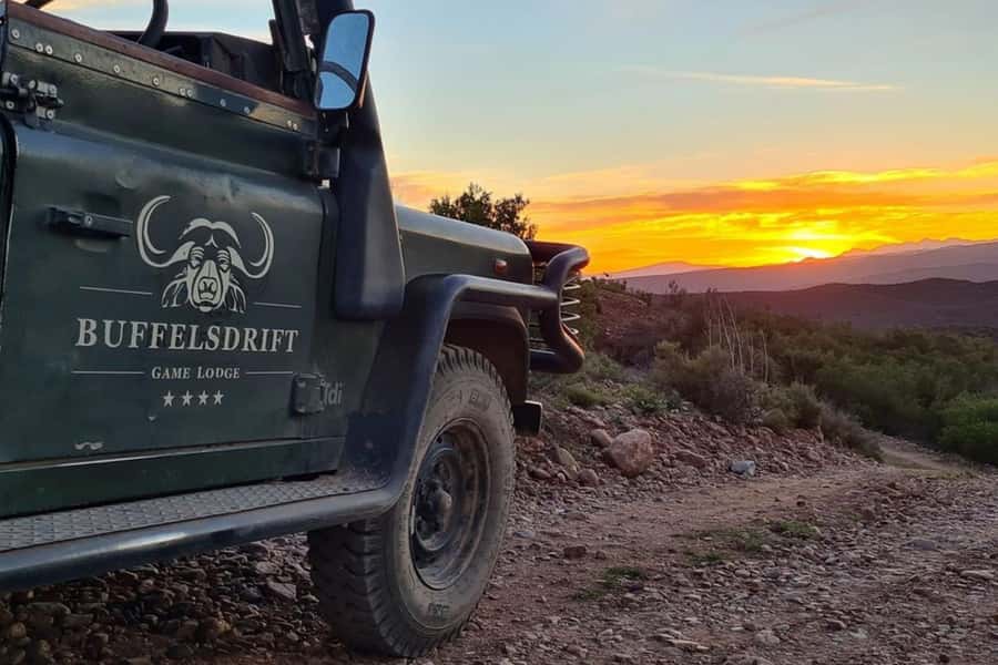 From Cape Town: South African Wildlife and Safari 2-Day Tour - Key points at a glance