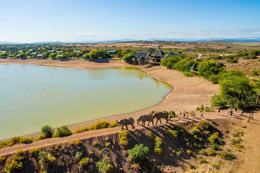 From Cape Town: South African Wildlife and Safari 2-Day Tour - Should you book this two-day safari?