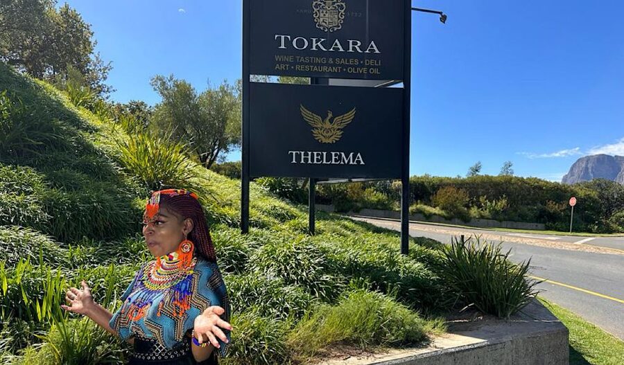 From Cape Town: Stellenbosch & Franschhoek Wine Tasting Tour - Fairview is the most distinctive tasting
