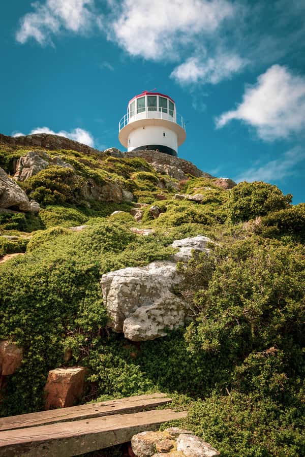 From Cape Town: Table Mountain and Cape of Good Hope Tour - Simon’s Town lunch and the rhythm of the day