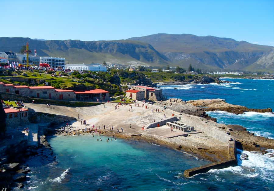 From Cape Town: Whale Watching Tour in Hermanus and Gansbaai - Stony Point penguins and the flexible route