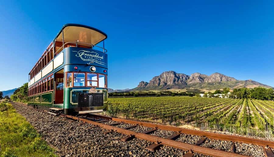 From Cape Town: Winelands Full Day Tour and Wine Tasting - The ride from Cape Town to Stellenbosch