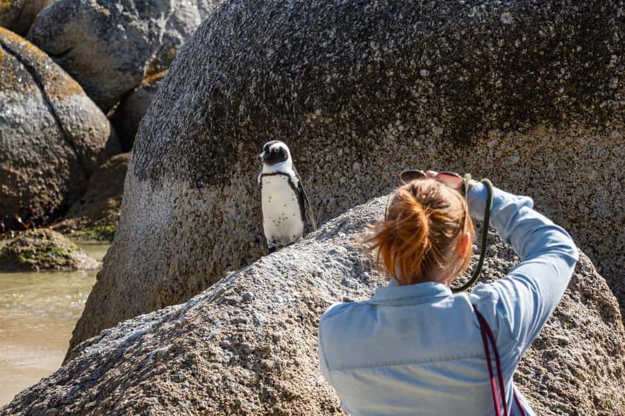 From CapeTown:Full Day Tour to Cape of Good Hope&Cape Point - Guides who shape the experience