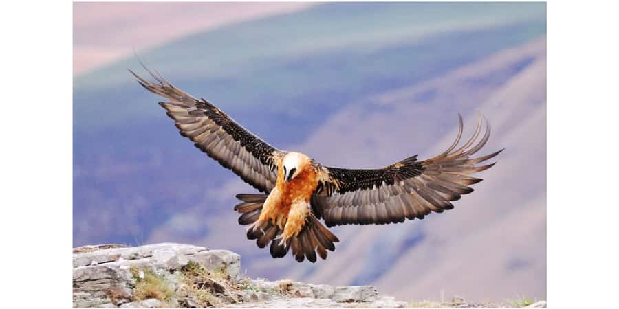 From Durban: 2-Day Lesotho Guided Trip with Lodging & Meals - Black Mountain Pass and the view toward Thabana Ntlenyana