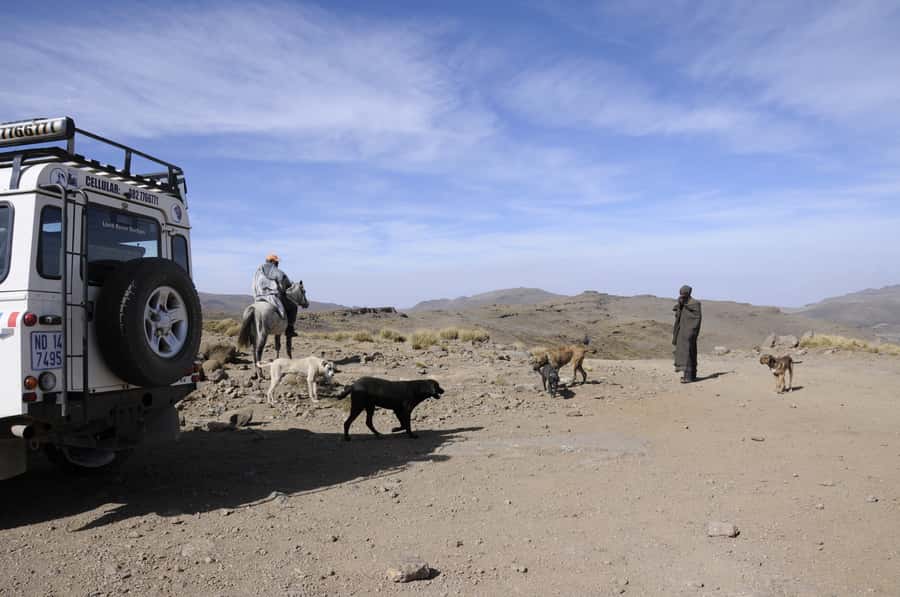 From Durban: Sani Pass and Lesotho by 4WD Vehicle - What the $242 price really covers