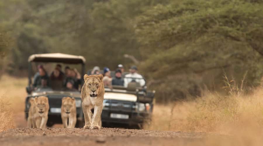 From Durban: Wildlife Lovers Big 5 Safari at 2 Game Reserves - Key points at a glance