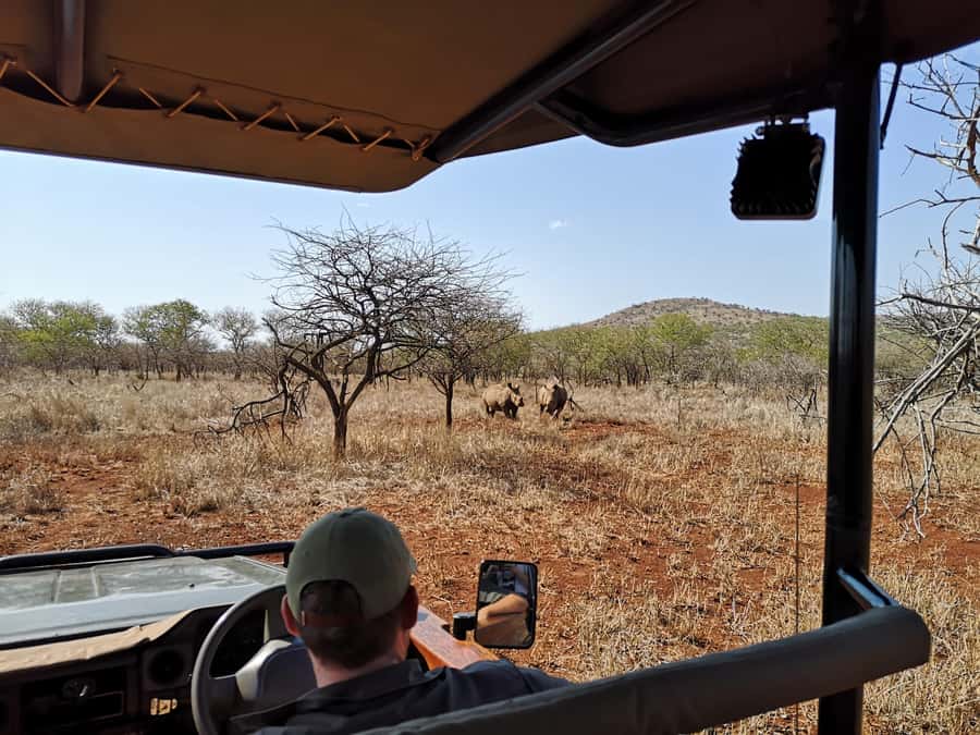 From Durban: Wildlife Lovers Big 5 Safari at 2 Game Reserves - The guides make the difference