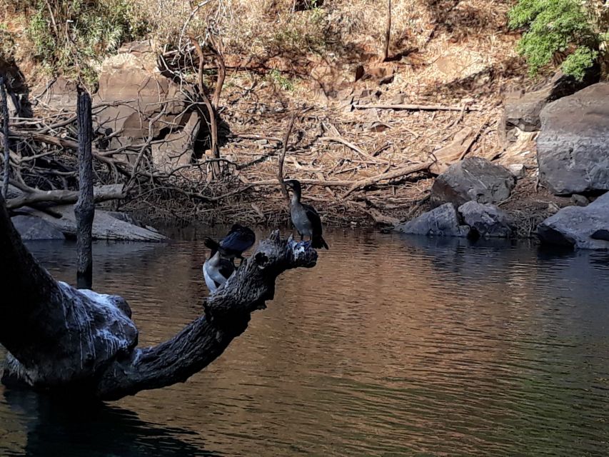 From Hazyview: Blyde River Canyon Highlight & Boat Cruise - A full day from Hazyview to the Blyde River