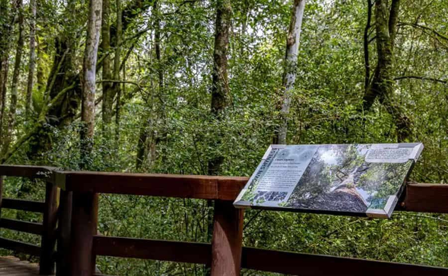 From Hazyview: Full-Day Guided Panorama Tour - Why the Panorama Route is worth a full day