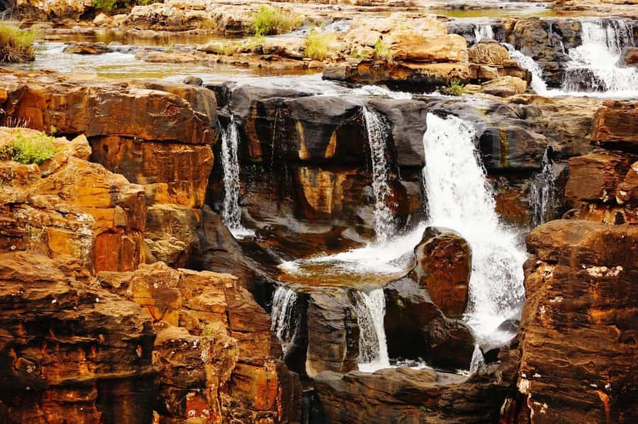 From Hazyview: Full-Day Guided Panorama Tour - Graskop Gorge: start with height and forest