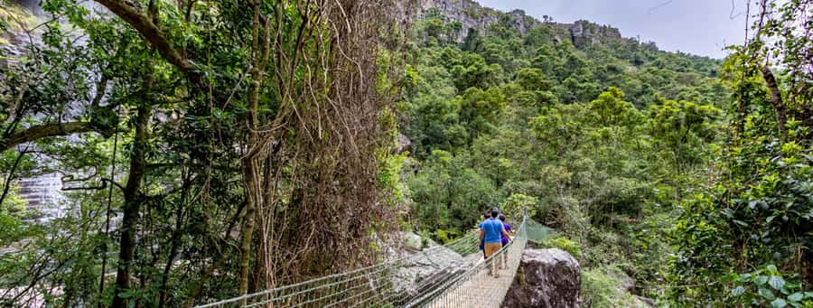 From Hazyview: Full-Day Guided Panorama Tour - Graskop break: food, shops, and optional activities