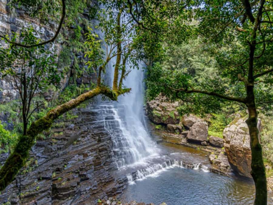 From Hazyview: Full-Day Guided Panorama Tour - What $149 includes, and what it does not