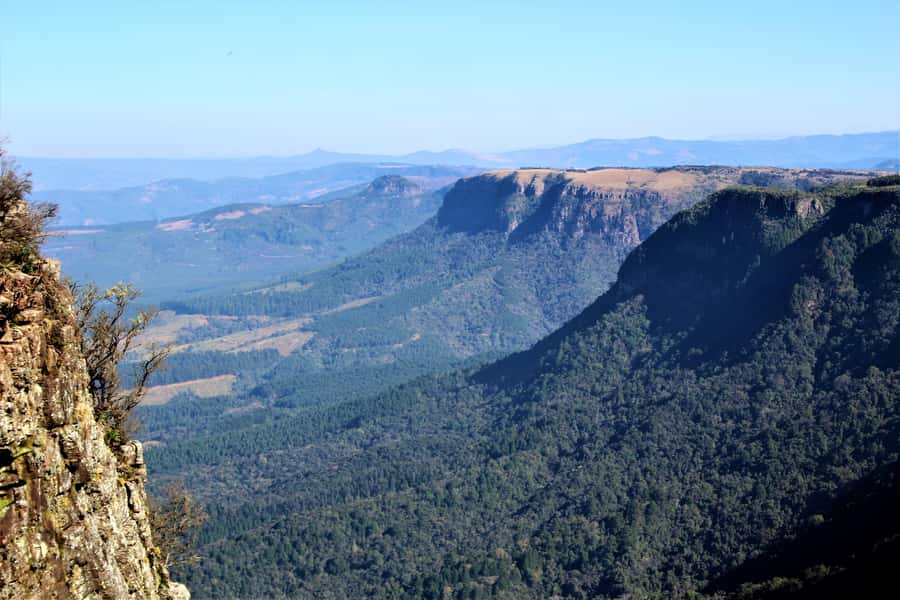 From Hazyview: Full-Day Panorama Route & Gorge Lift Tour - God’s Window, Wonderview, and the Three Rondawels