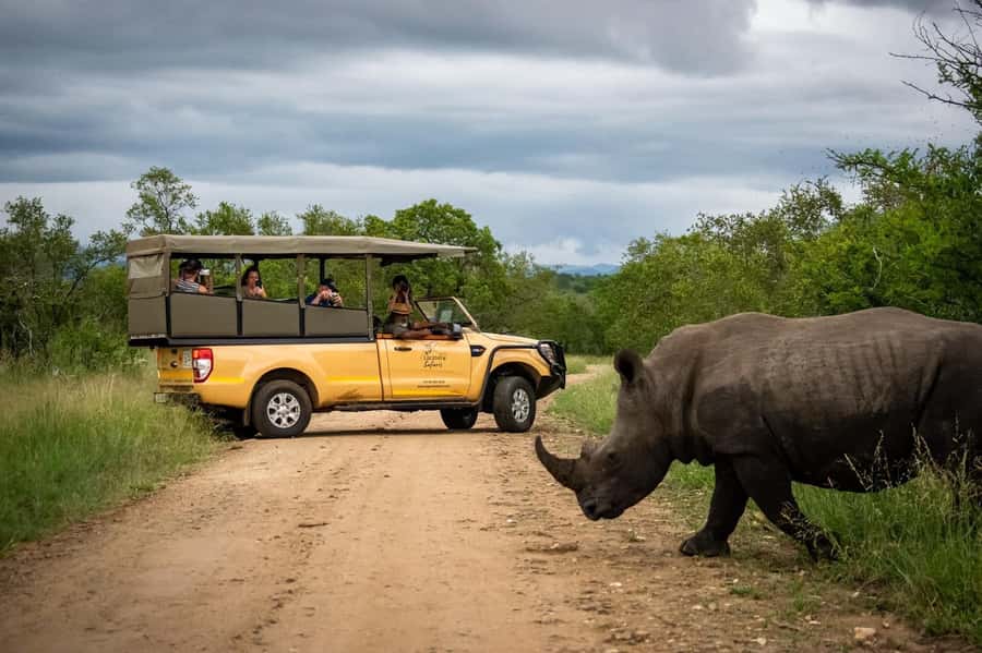 From Hazyview: Kruger National Park Morning Half-Day Safari - What your six-hour game drive is really like