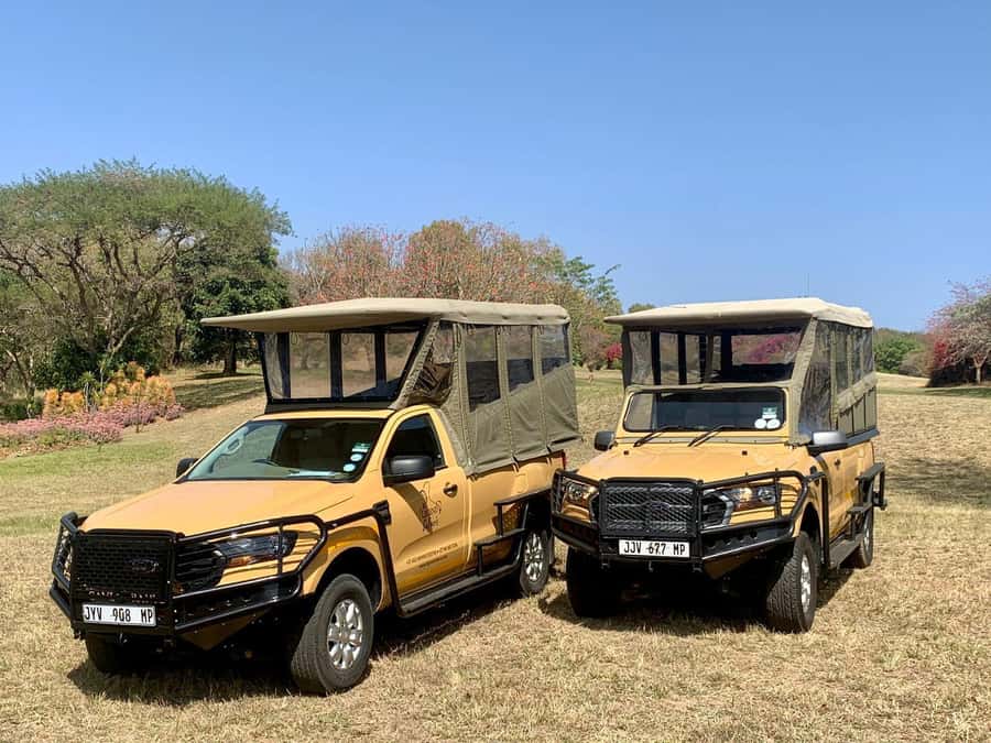 From Hazyview: Kruger National Park Morning Half-Day Safari - The breakfast stop and picnic breaks