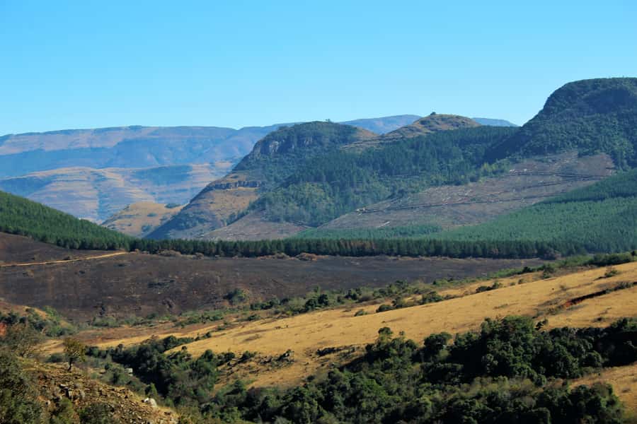 From Hazyview: Panorama Tour Highlights - Gods Window and the reward of clear weather