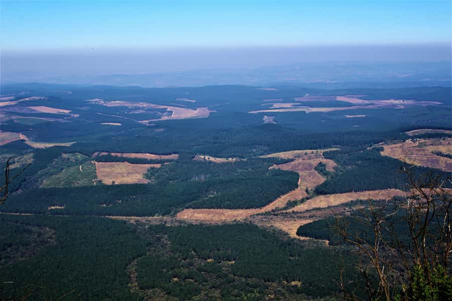 From Hazyview: Panorama Tour Highlights - What the guide and pickup add