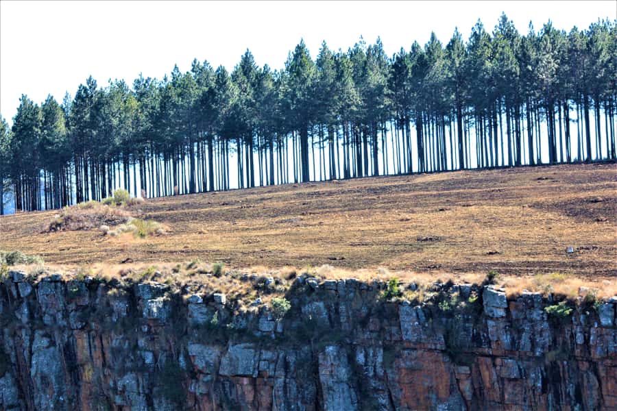 From Hazyview: Panorama Tour Highlights - Is $90 a fair price for four hours?