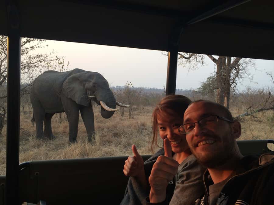 From Hazyview: Private Afternoon Game Drive - Is the $270 private drive worth it?