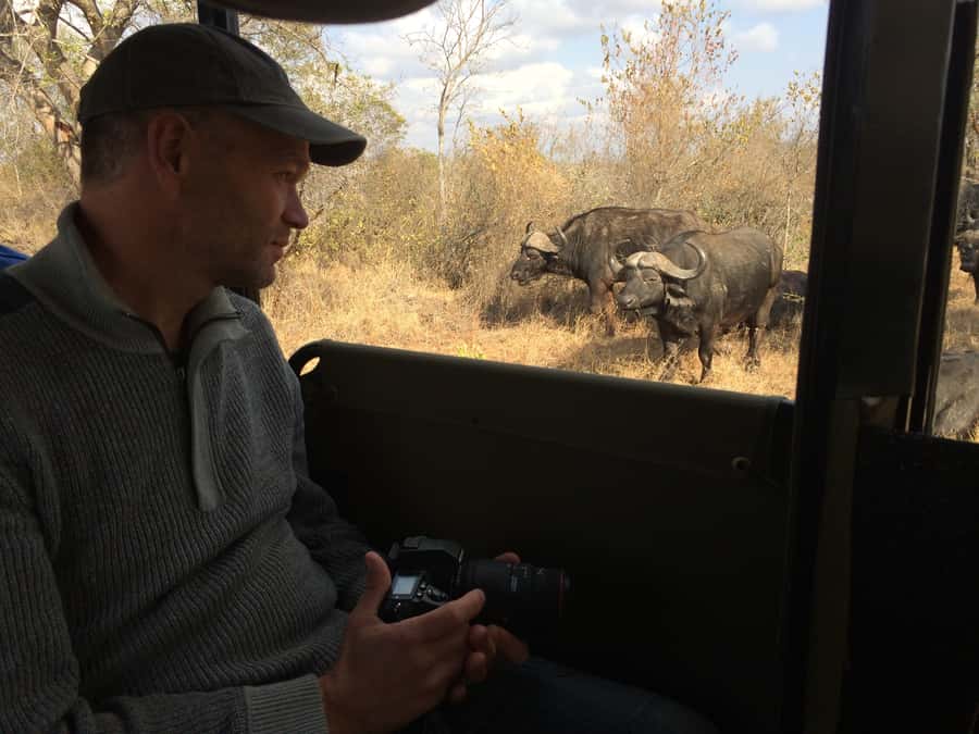From Hazyview: Private Afternoon Game Drive - The afternoon wildlife search