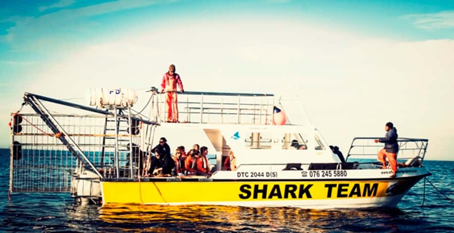 From Hermanus or Cape Town: Shark Cage Diving Experience - Breakfast at the lodge sets the pace