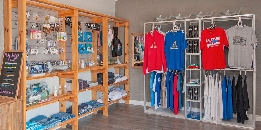 From Hermanus or Cape Town: Shark Cage Diving Experience - Warm food and hot showers after the water