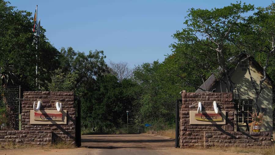 From Johannesburg: 2-Day Safari into Kruger National Park - The 6:30 AM drive is the day’s best chance