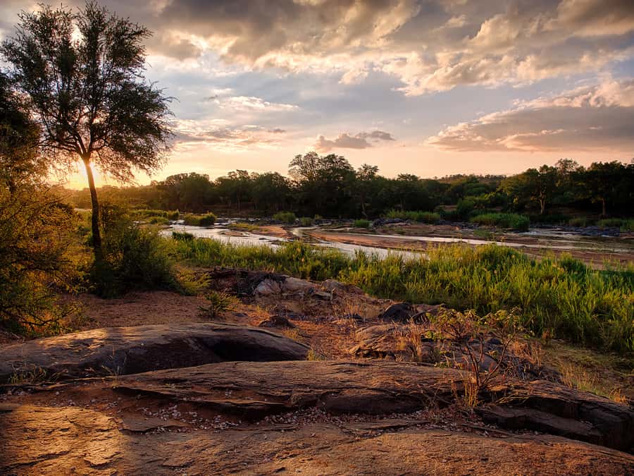 From Johannesburg: 3-Day Budget Tent Kruger Park Safari - Key points to know before booking