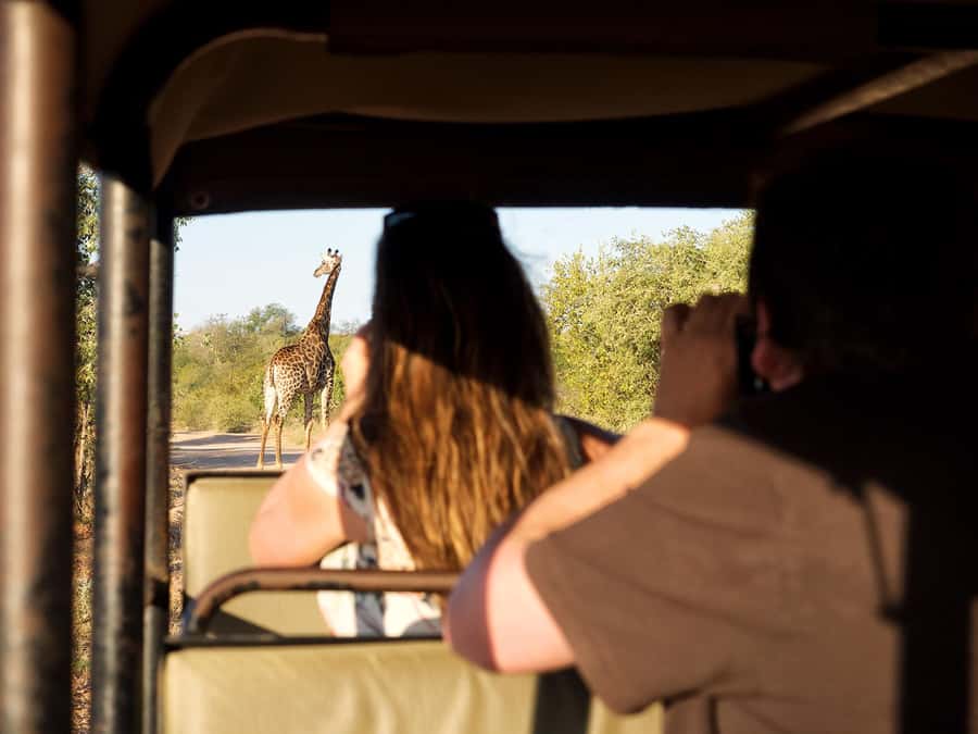 From Johannesburg: 3-Day Budget Tent Kruger Park Safari - A three-day route with plenty packed in