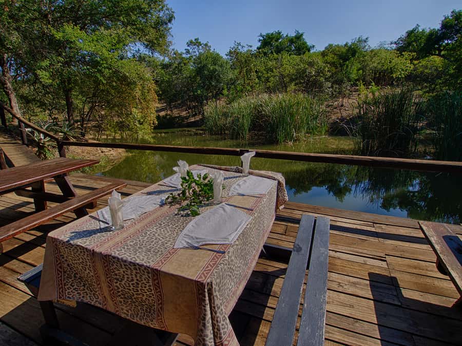 From Johannesburg: 3-Day Budget Tent Kruger Park Safari - The Marc’s Camp walk: a closer look at the bush