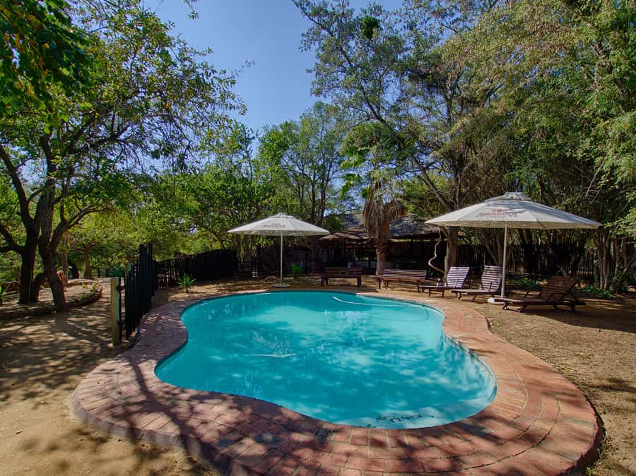 From Johannesburg: 3-Day Budget Tent Kruger Park Safari - What the $653 price really covers