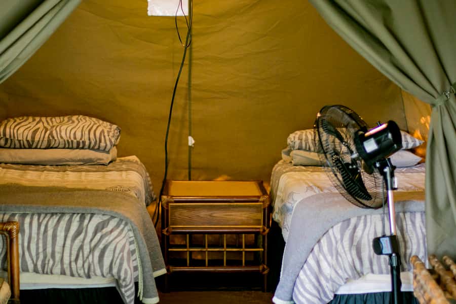 From Johannesburg: 3-Day Budget Tent Kruger Park Safari - Is three days long enough?