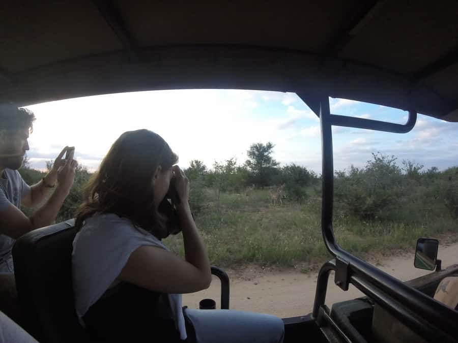 From Johannesburg: 3-Day Budget Tent Kruger Park Safari - Day one: Johannesburg to Tremisana and Balule