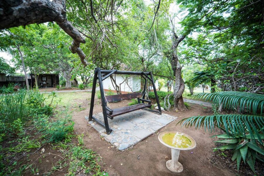 From Johannesburg: 6-Day Classic Kruger National Park Safari - Who should book this safari