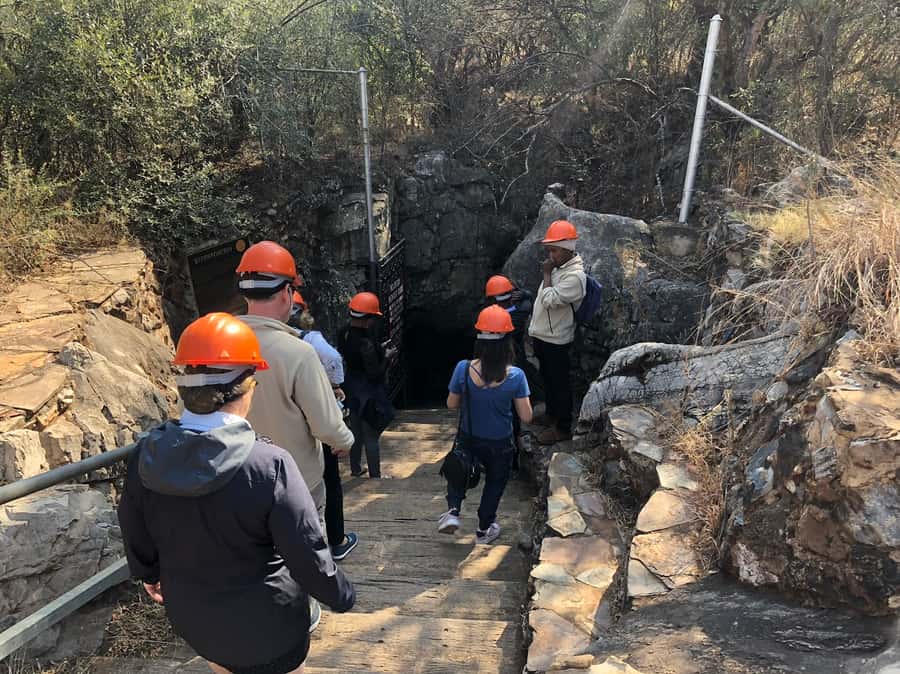 From Johannesburg: Cradle of Humankind and Lion Safari - Should you book this Cradle of Humankind tour?