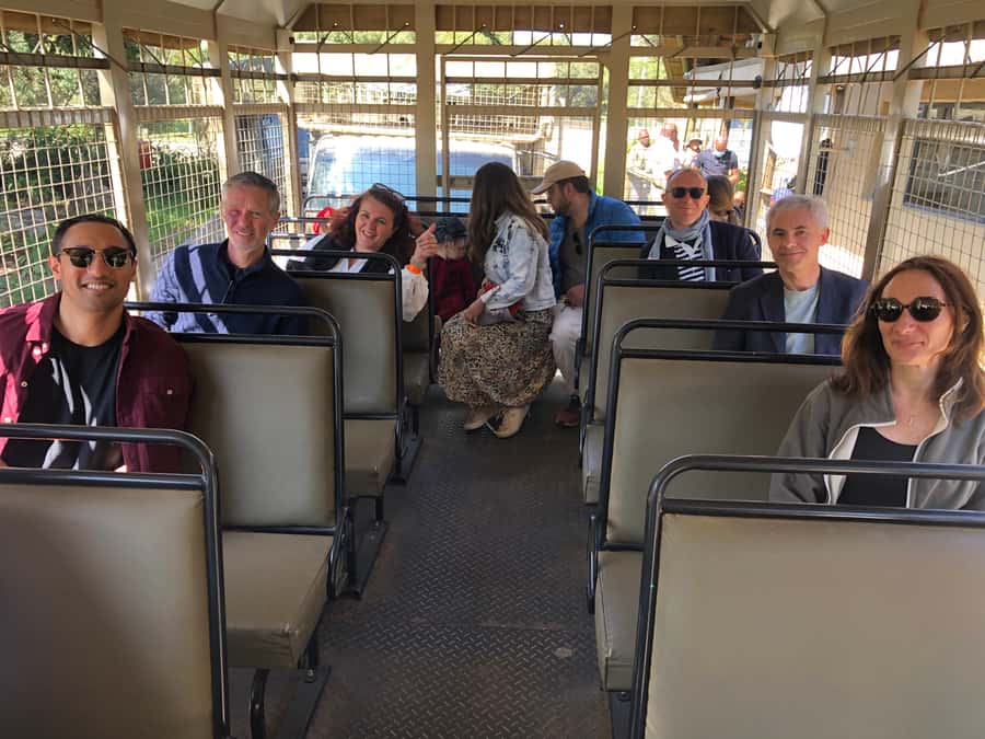 From Johannesburg: Cradle of Humankind and Lion Safari - Who will enjoy this nine-hour day?