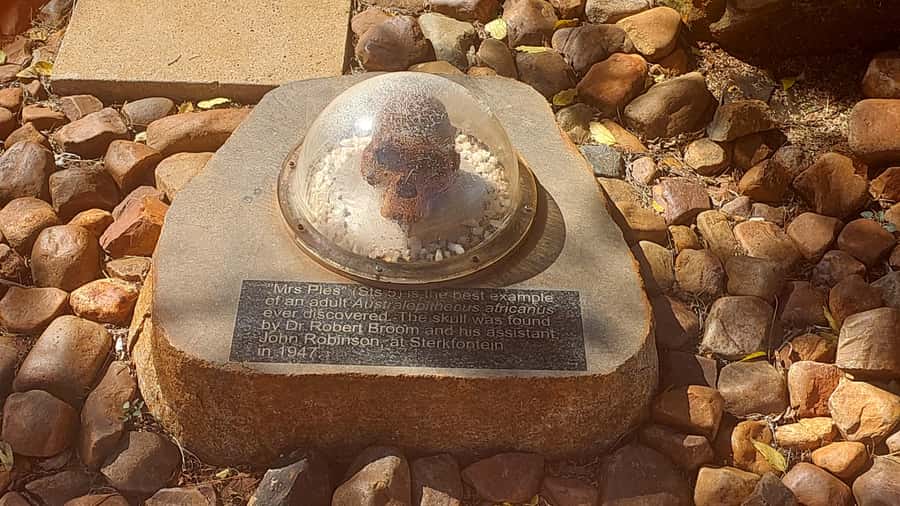 From Johannesburg: Cradle of Humankind Private Half-Day Tour - Maropeng Visitor Centre: start with the big picture