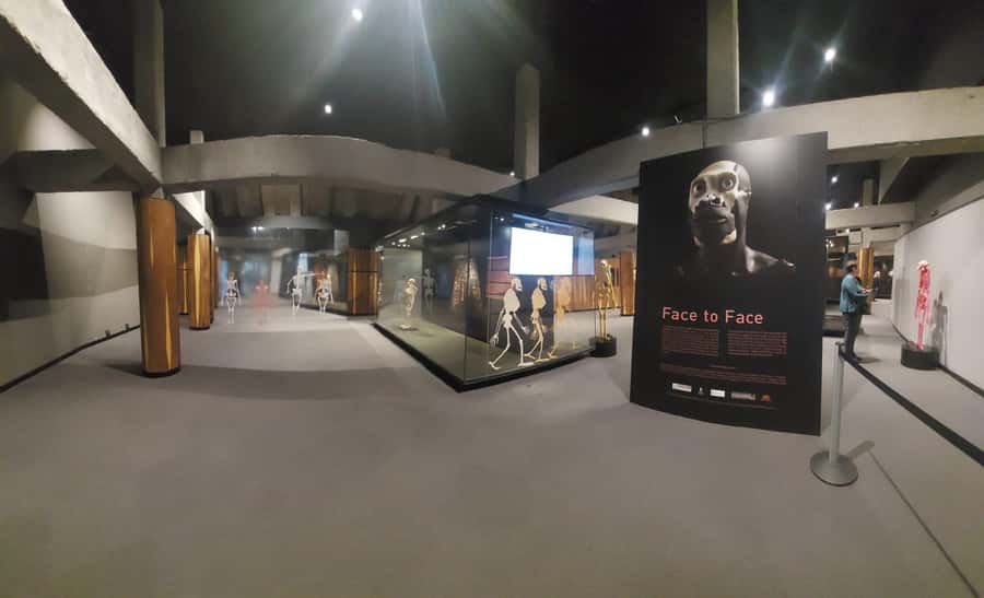 From Johannesburg: Cradle of Humankind Private Half-Day Tour - What the private format is really worth